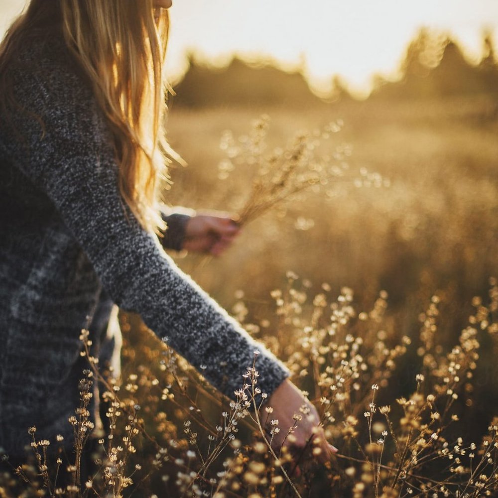 Meet your Posher, Gk